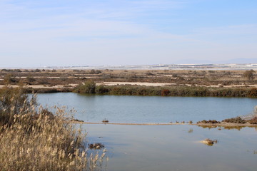Small lake in arid zone
