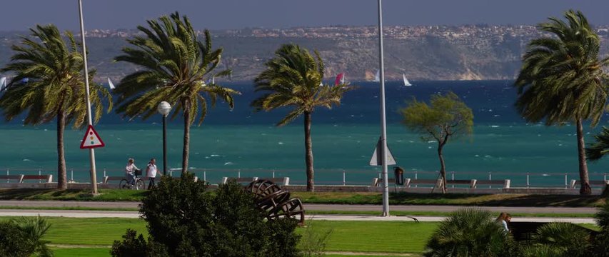 Palma 01