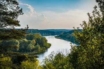 Wild silent river Neman. Summer forest river water panorama. Forest river reflection in summer.