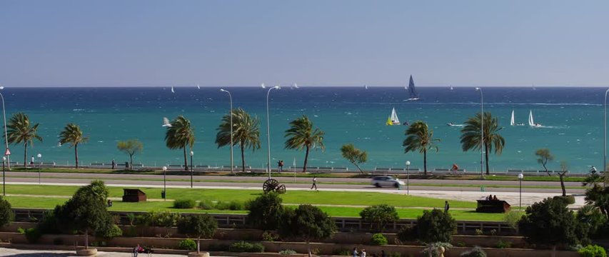 Palma 01