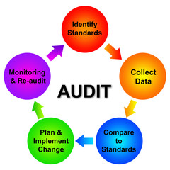 Audit scheme