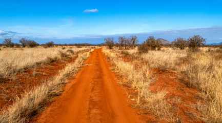 Road in kenia