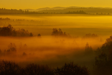 Obraz na płótnie Canvas Sunrise in the forest. Bieszczady Mountains. Poland