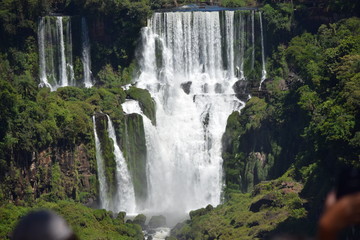Fototapeta premium iguaçu