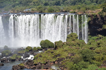 Fototapeta premium iguaçu