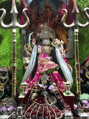 Durga,goddess,hindu gods