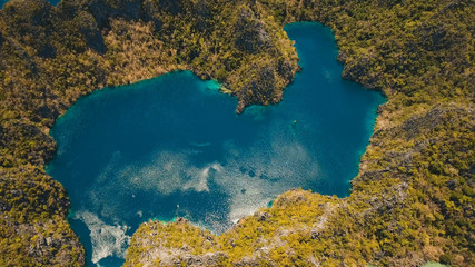 Aerial view: Mountain Barracuda lake, on tropical island with blue water. Lake in the mountains covered with tropical forest on the island Coron, Palawan, Philippines. Travel concept