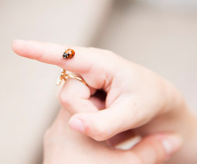 ladybug on a finger 