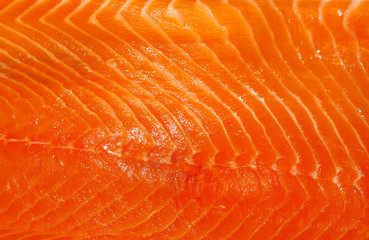 background, texture - fresh orange salmon fillet