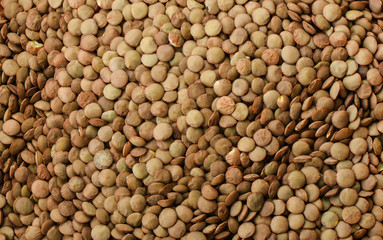 Canadian lentils green large as a background