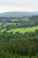 Fototapeta na wymiar Mountains landscape with forest hills and grassy meadow on a rainy day.