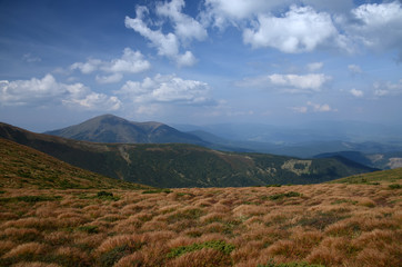 Obraz premium The stone peaks of the mountain ranges of Hoverla Ukrainian Carpathian mountains covered with ancient conifer forests