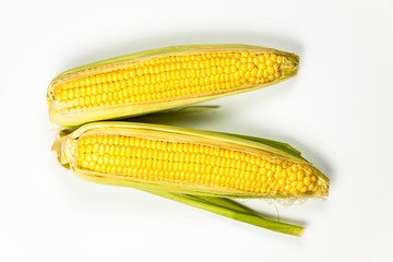 Corn isolated on white background, with shadow