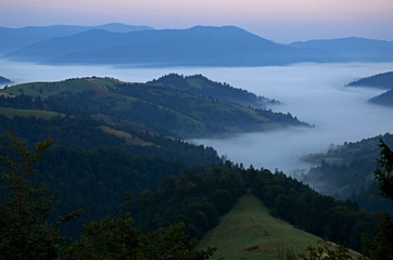 Morning fog in the mountains of the Carpathians