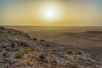 Sahara Desert near Sunset