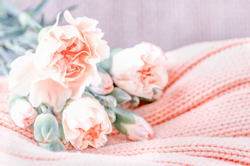 Soft pink carnation flowers on a light knitted background