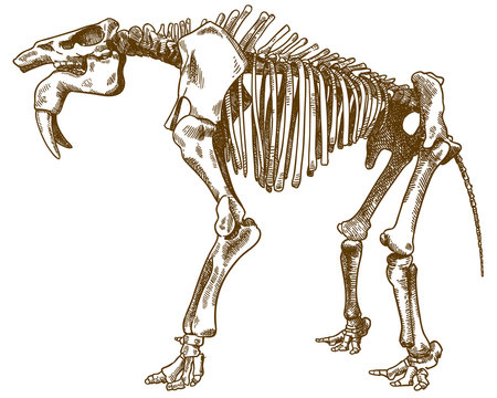 Deinotherium