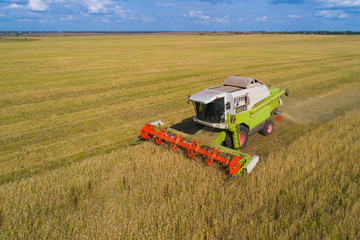 Combine harvesting oats in the field