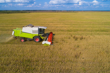 Agricultural work. Combine harvesting oats in the field.