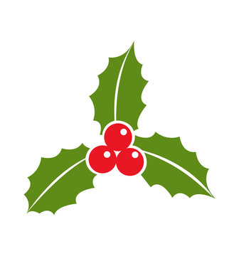 Holly berry leaves icon Christmas flat vector illustration isolated on white 