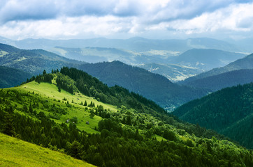 Naklejka na ściany i meble Landscape from height to mountain slopes, meadow. Carpathians Ukraine.