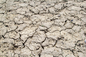 Dried and cracked earth soil from draught cracked terrain texture in summer from climate change and...