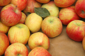 red apples on shelf