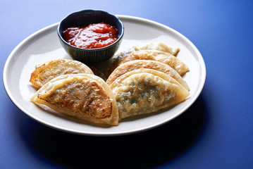 asian food. fried dumplings