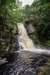 Fototapeta premium Bushkill Falls