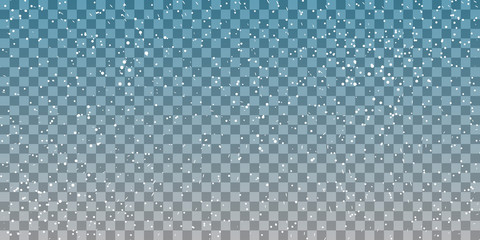 Falling snowflakes on a transparent background. Snow pattern. Vector illustration. Winter snowing sky. Eps 10.