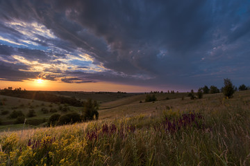 sunset over the field