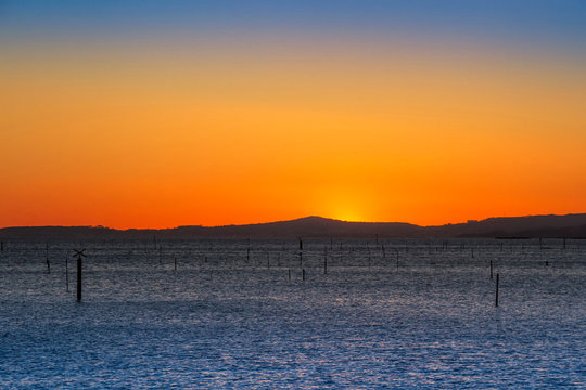 Carril Clam Aquaculture Ponds At Sunset