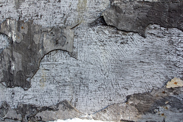 Texture of grey grunge stone wall with abstract background. Copy space of concrete texture