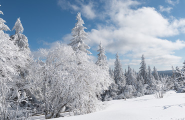 Winter im Schwarzwald Deutschland