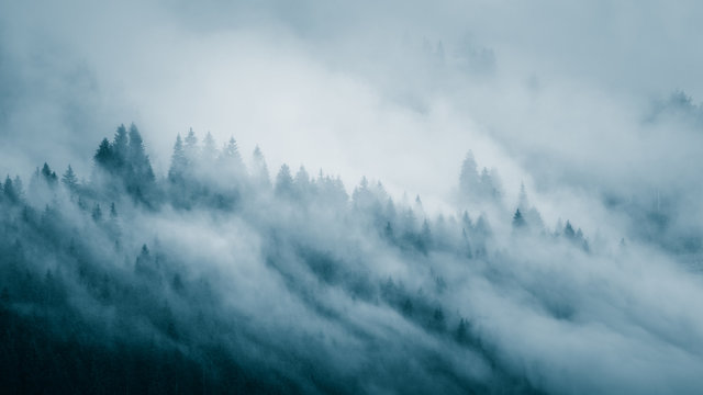 Morning fog in the mountains