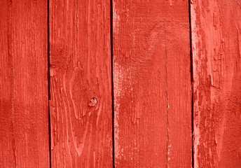 Fototapeta premium Coral color Wood texture. Surface of wood plank background. 