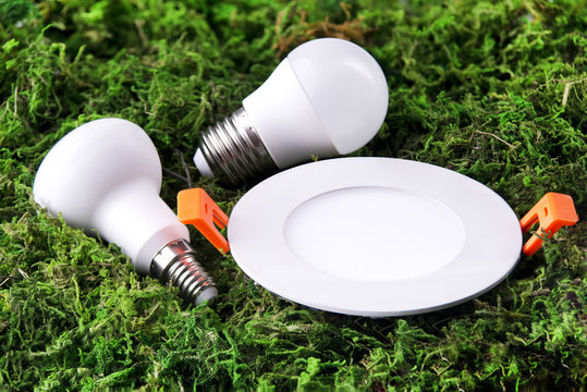 Led lamps lie on the green grass. Theme energy saving in the house 