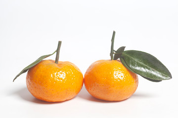 Ripe mandarins with green leaves