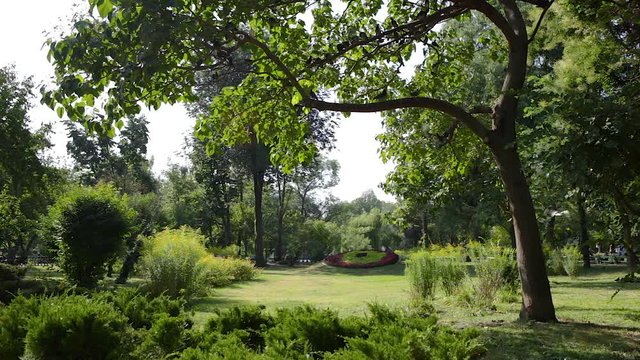 Travel Bucharest, Romania - beautiful, calm summer day in the park with birds flying by