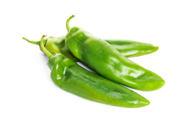 beautiful green pepper