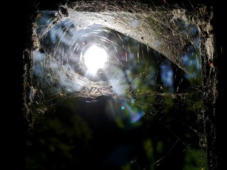 Sonne scheint durchs Spinnengewebe