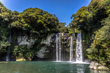 Fototapeta premium A waterfall in the island of Jeju in South Korea in a blue sky day