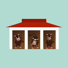 Cows inside the barn