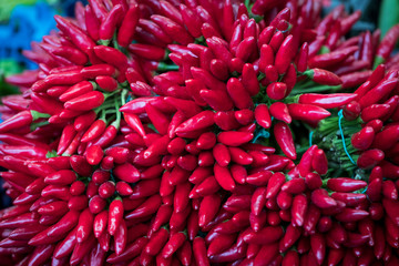 Background of red spicy chili peppers without GMOs closeup.