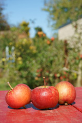 Organic apples Wooden table Garden