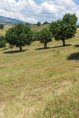 Amazing Landscape of Ograzhden Mountain, Blagoevgrad Region, Bulgaria