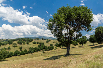 Amazing Landscape of Ograzhden Mountain, Blagoevgrad Region, Bulgaria