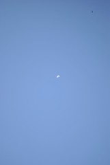 flying in the sky