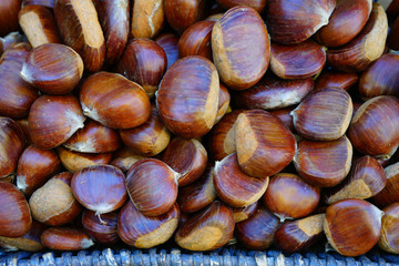 Fresh Italian chestnuts in the shell at an Italian farmers market