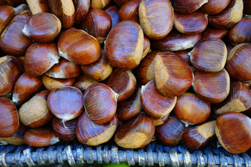 Fresh Italian chestnuts in the shell at an Italian farmers market